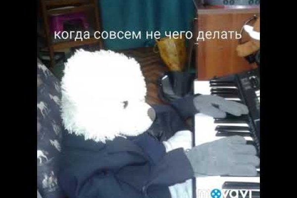 Кракен сайт ссылка онлайн