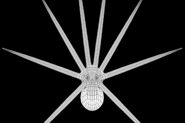 Как зайти в кракен торе