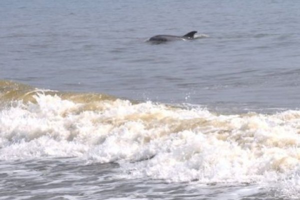 Кракен сайт krk market com