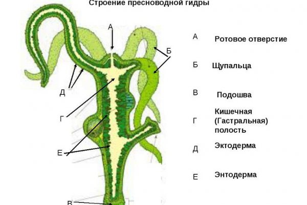 Кракен даркнет маркет ссылка на сайт тор