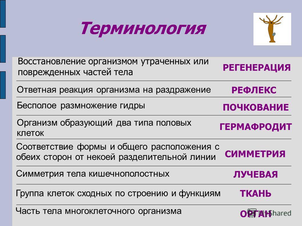 Кракен ссылка призыва нет